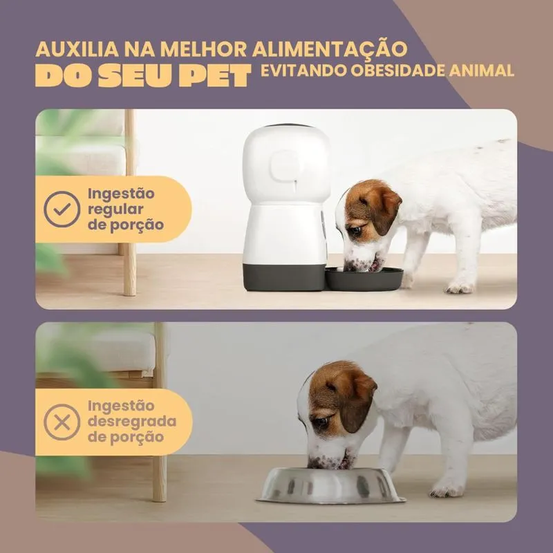 melhor alimentador automatico pet animus
